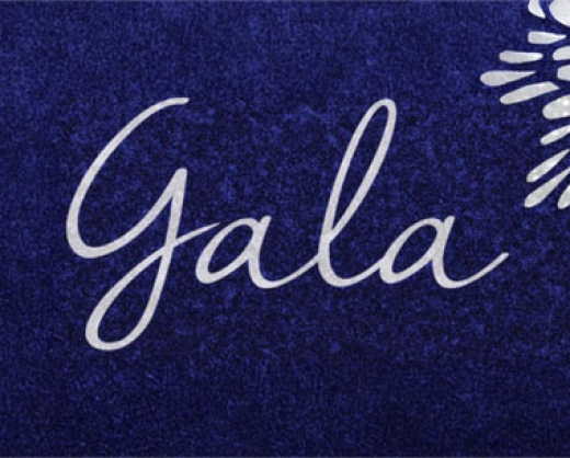 Robert J. Ludwig Community Service Awards Gala