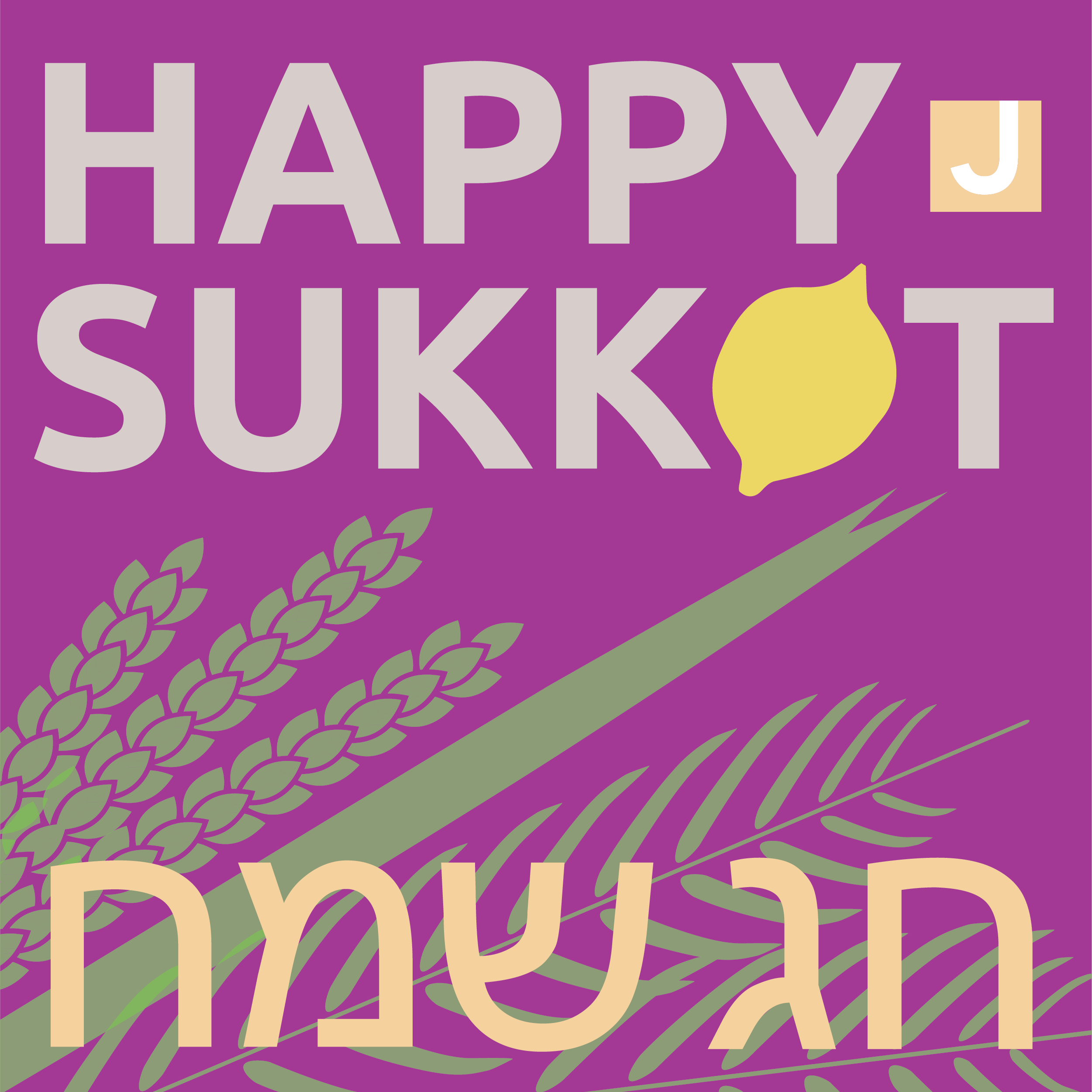 sukot.png